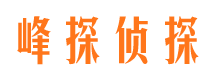 南充寻人公司